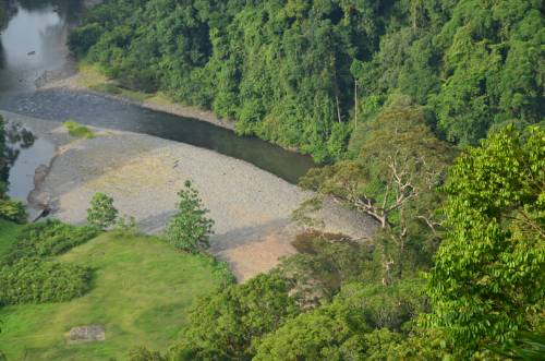 Danum Valley river aerial view