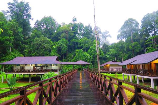 Kawag Nature Lodge boardwalk leading to the lodges